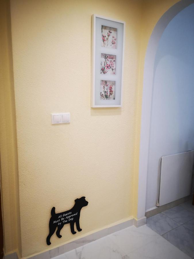 Spacious Apartment La Mata Pool&Beach Torrevieja Bagian luar foto